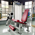 Impact Gym Fitness Equipment Back Extension Training Machine